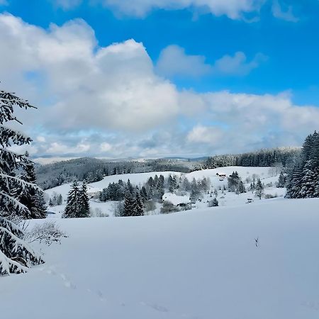 Schwarzwald Nescht Triberg Διαμέρισμα Triberg im Schwarzwald Εξωτερικό φωτογραφία