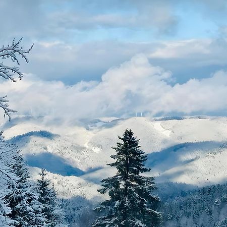 Schwarzwald Nescht Triberg Διαμέρισμα Triberg im Schwarzwald Εξωτερικό φωτογραφία