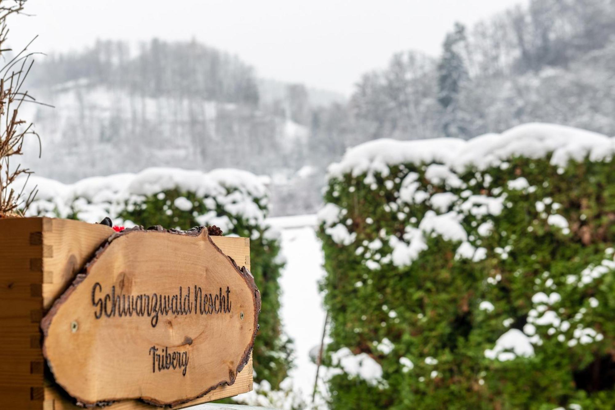 Schwarzwald Nescht Triberg Διαμέρισμα Triberg im Schwarzwald Εξωτερικό φωτογραφία
