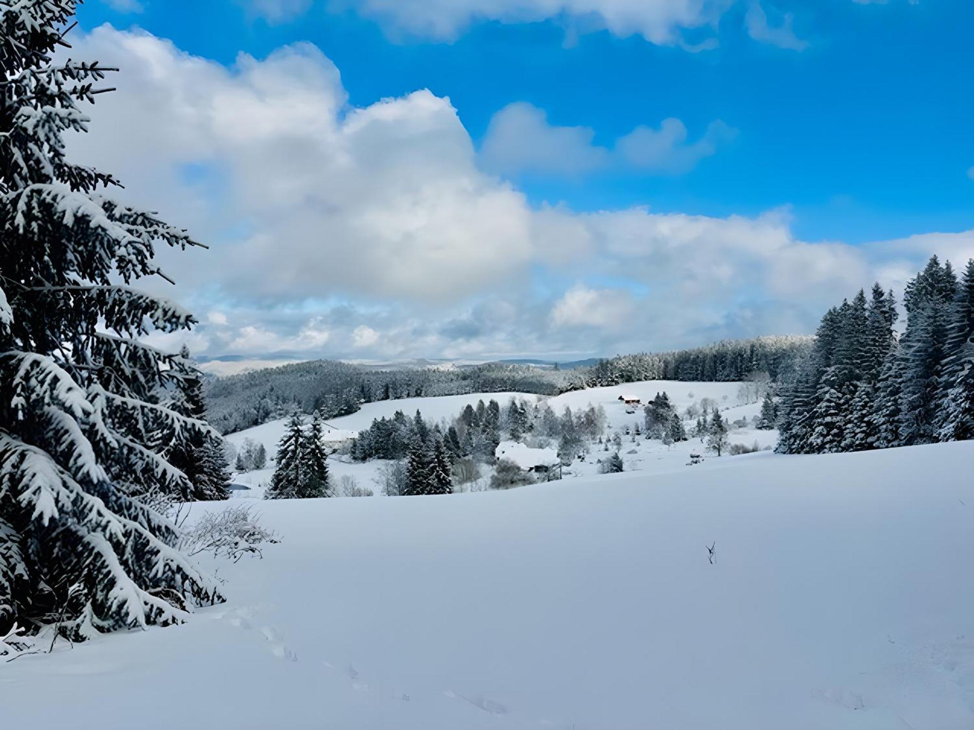 Schwarzwald Nescht Triberg Διαμέρισμα Triberg im Schwarzwald Εξωτερικό φωτογραφία