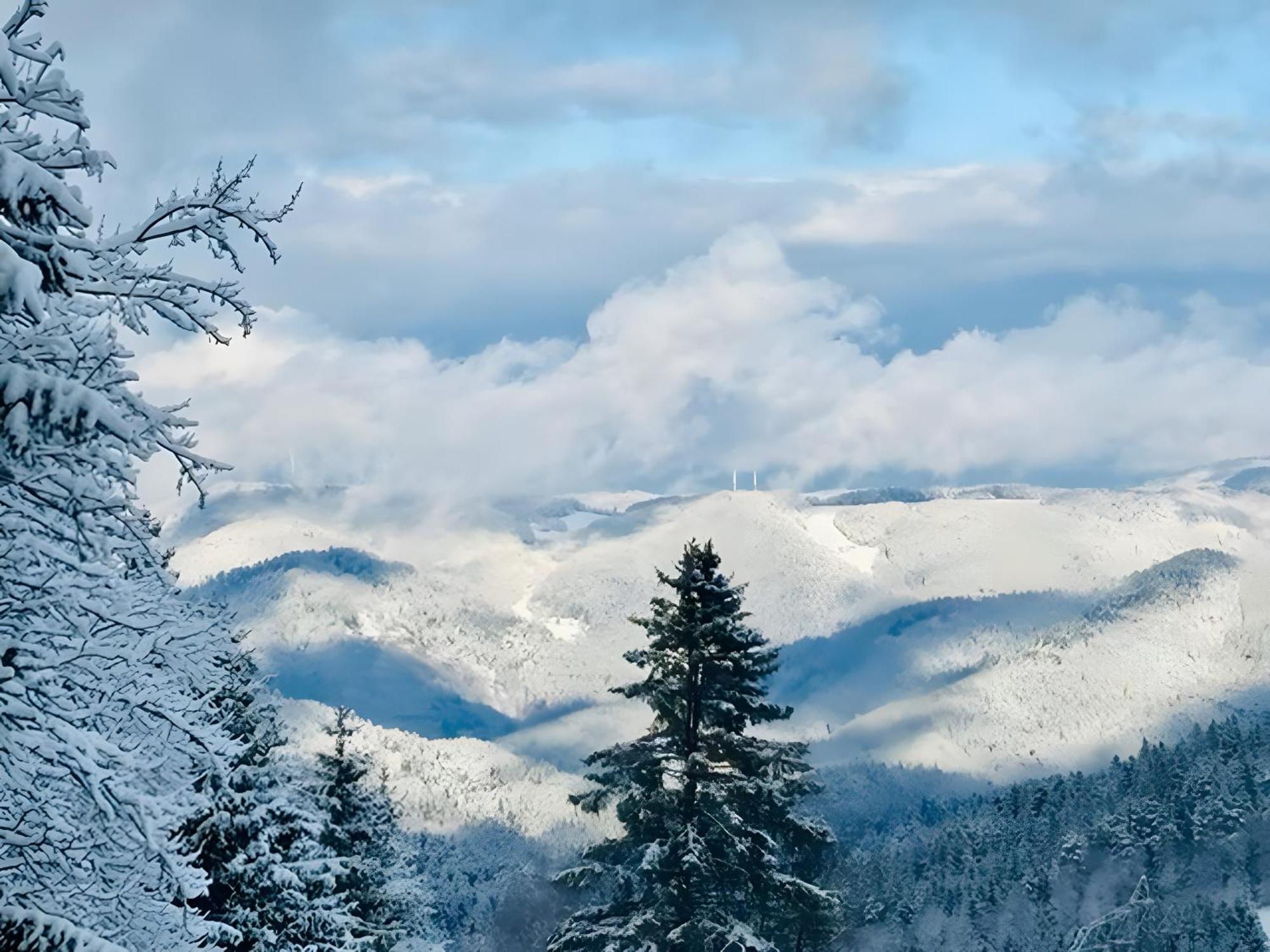 Schwarzwald Nescht Triberg Διαμέρισμα Triberg im Schwarzwald Εξωτερικό φωτογραφία